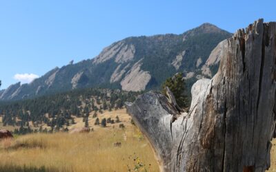 Your intel on biking, hiking and trail running around Boulder